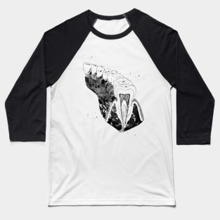 Molar Tooth Section Baseball T-Shirt